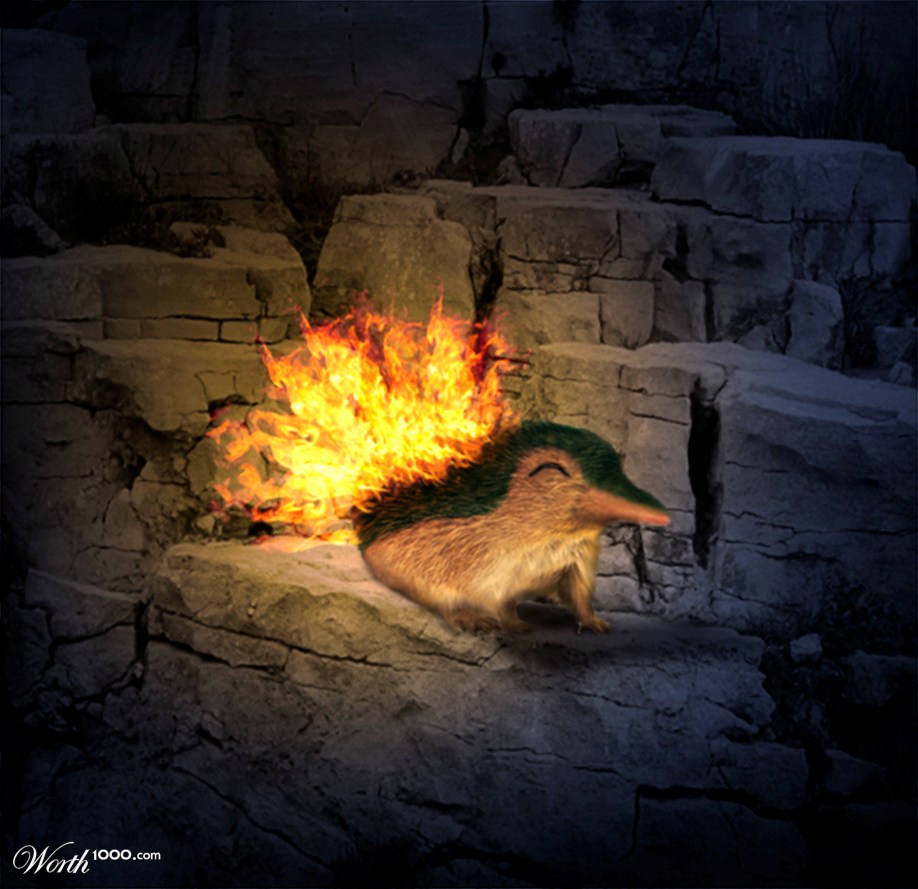 Cyndaquil