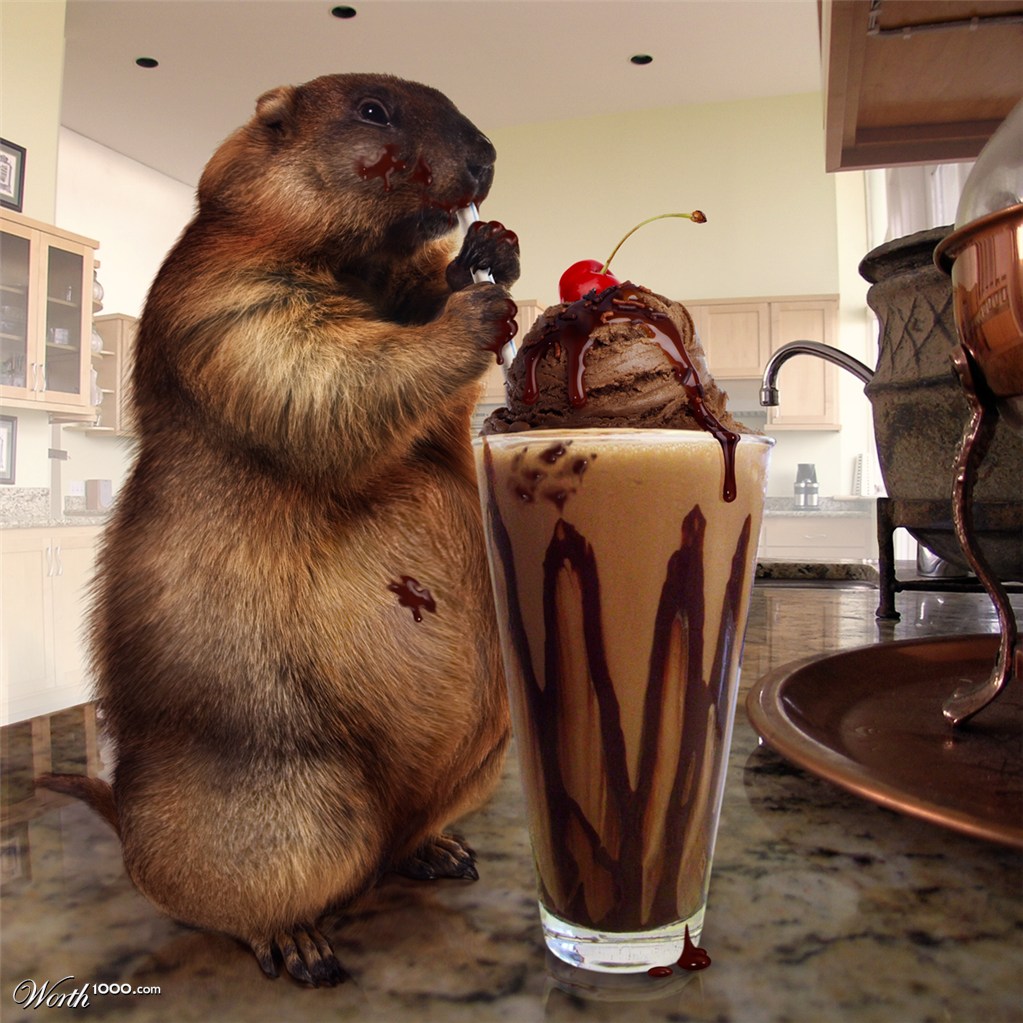 Just a Little Snack