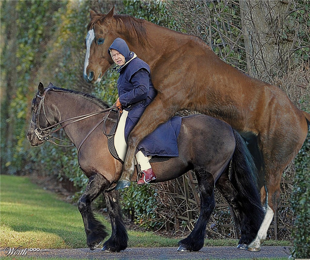 Queen Elizabeth and Horse