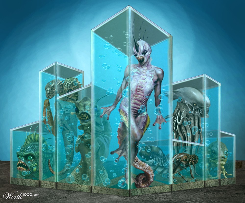 Sea Creatures Collection