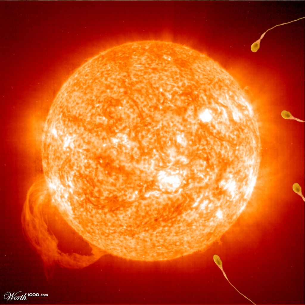 Sunny egg