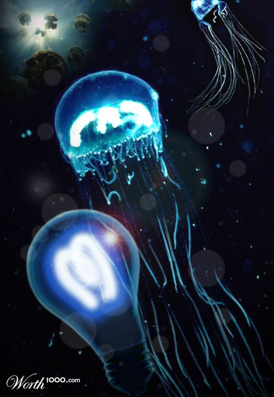 GE Jelly Fish
