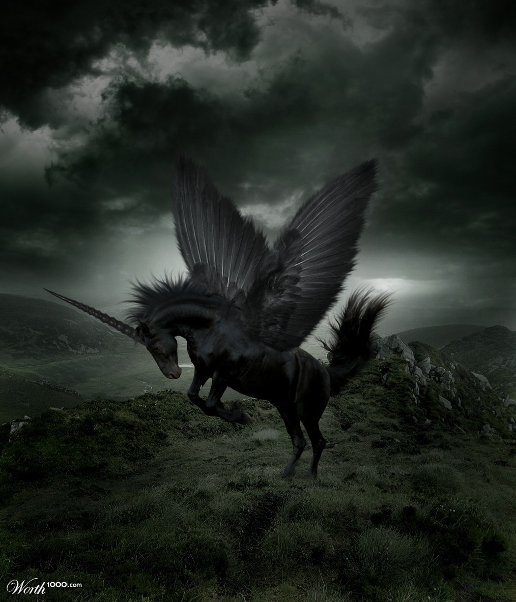 Twilight