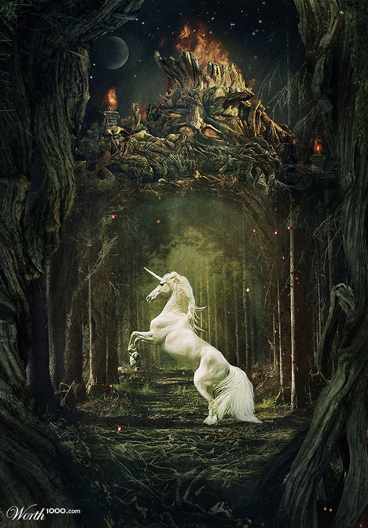 Magic forest.