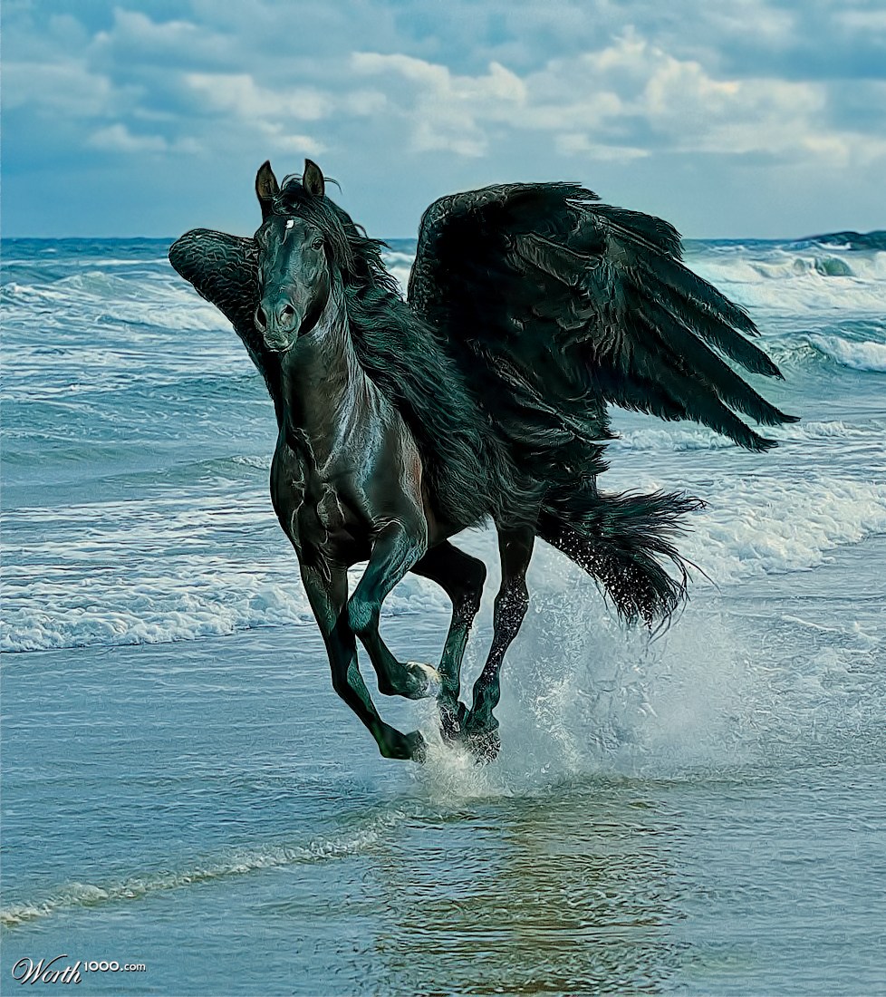 Black Pegasi