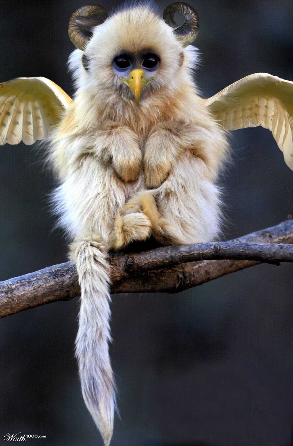 extinct creature
