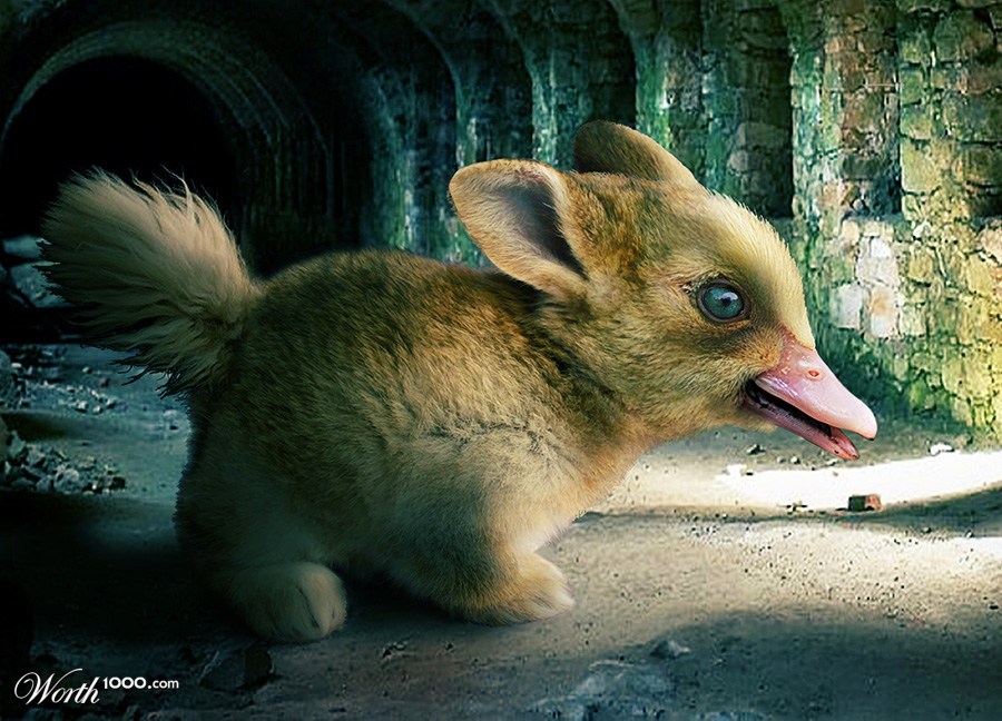 A Creature