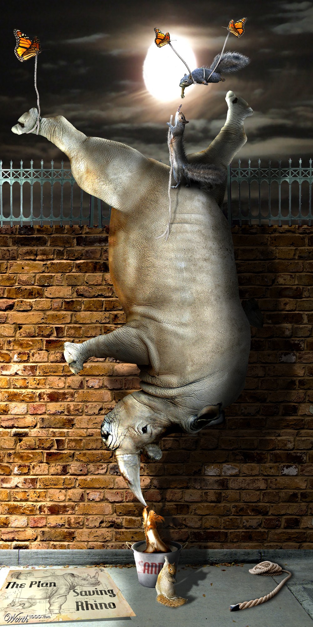 Saving Rhino