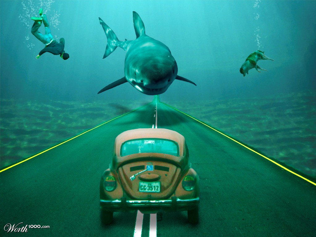 shark on the road