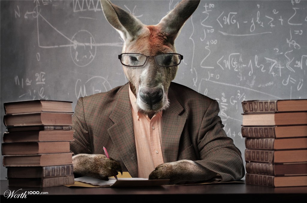 Kangarobert, PHD