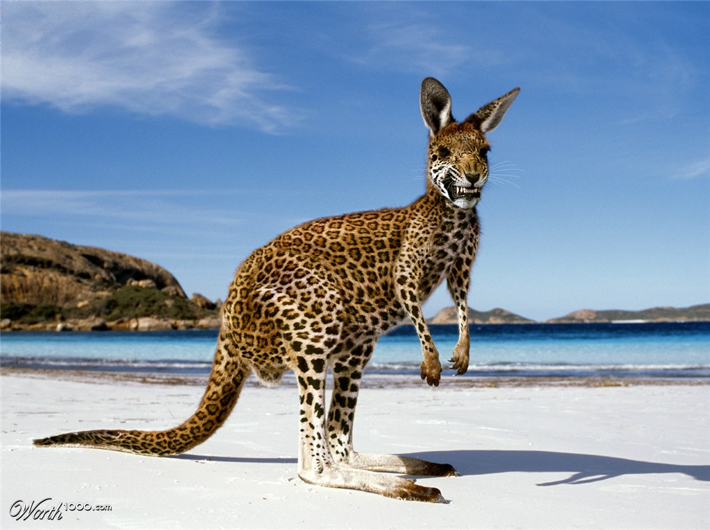 Leapin' lizards, it's a leoparoo!!