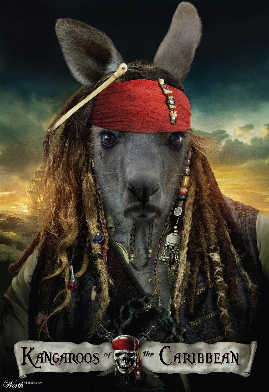 Kangaroos Of The Caribbean