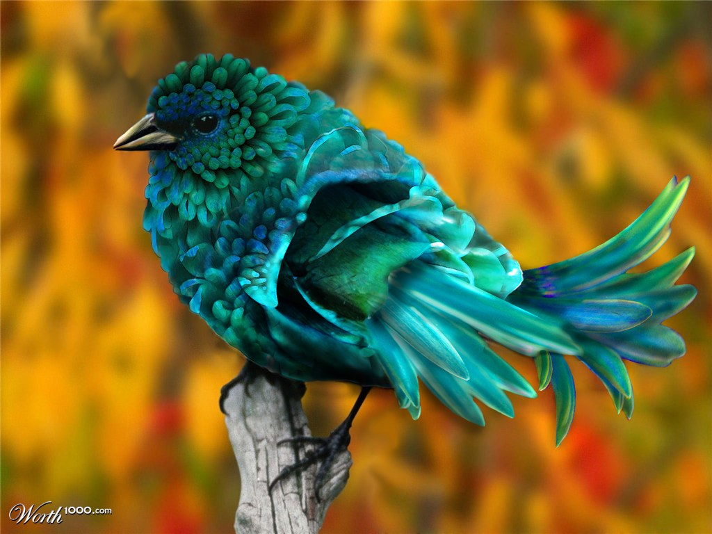 Bluebird