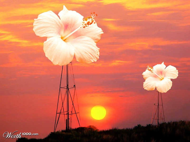 Windmill