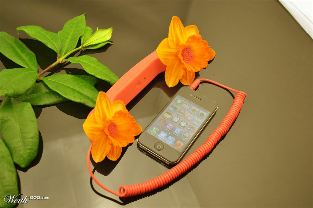 floral handset
