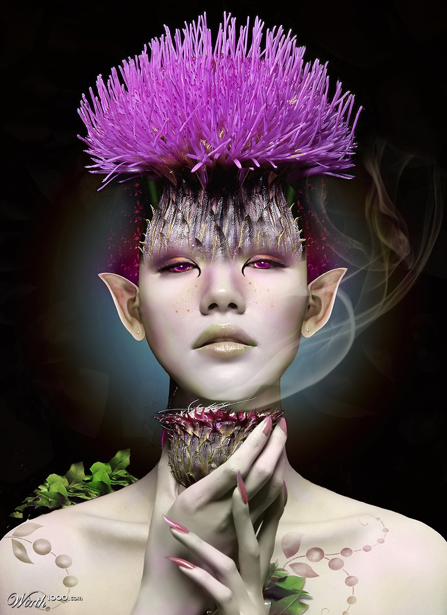Wild Flower