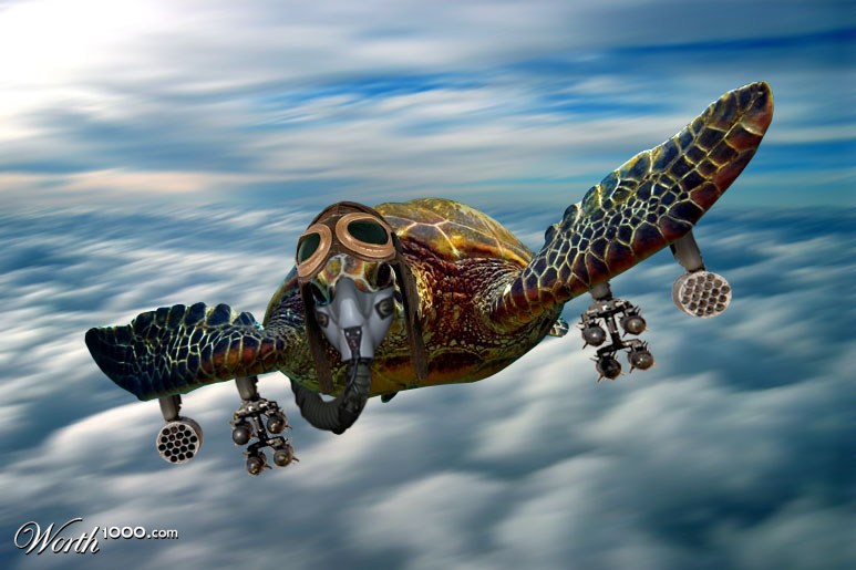 Top Gun Turtle