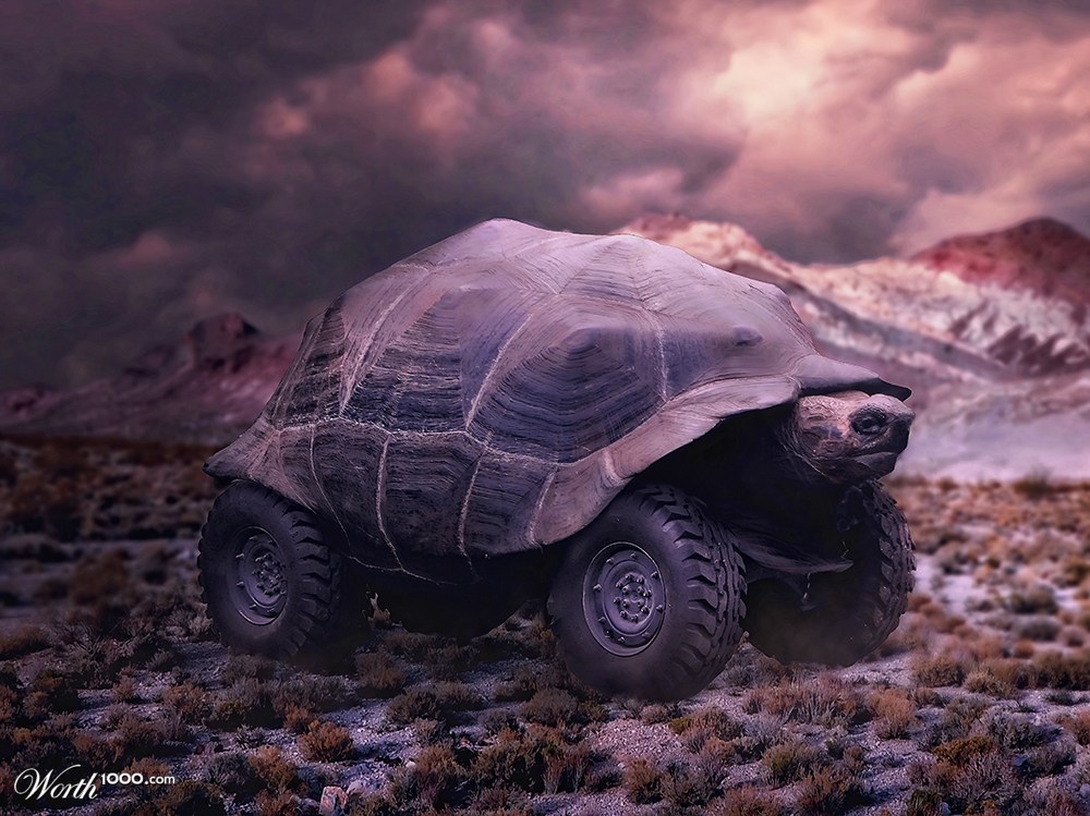 4x4 Turtle
