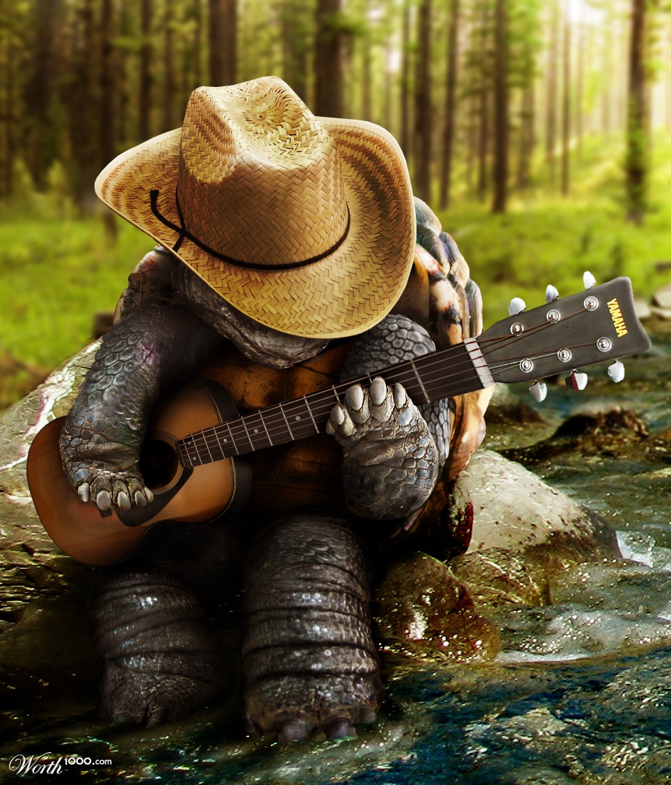 Forest Turtle