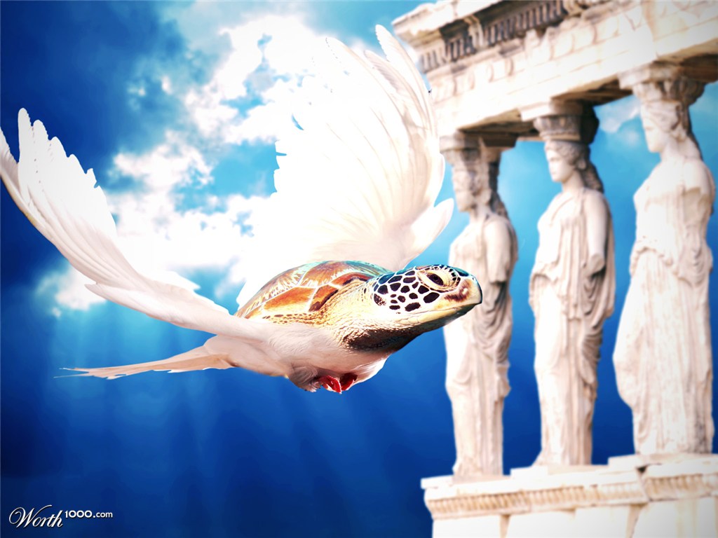 The majestic Turtledove of Atlantis