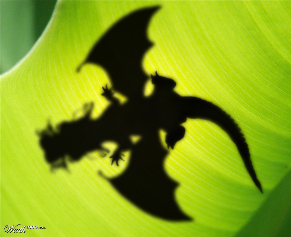 Dragon leaf