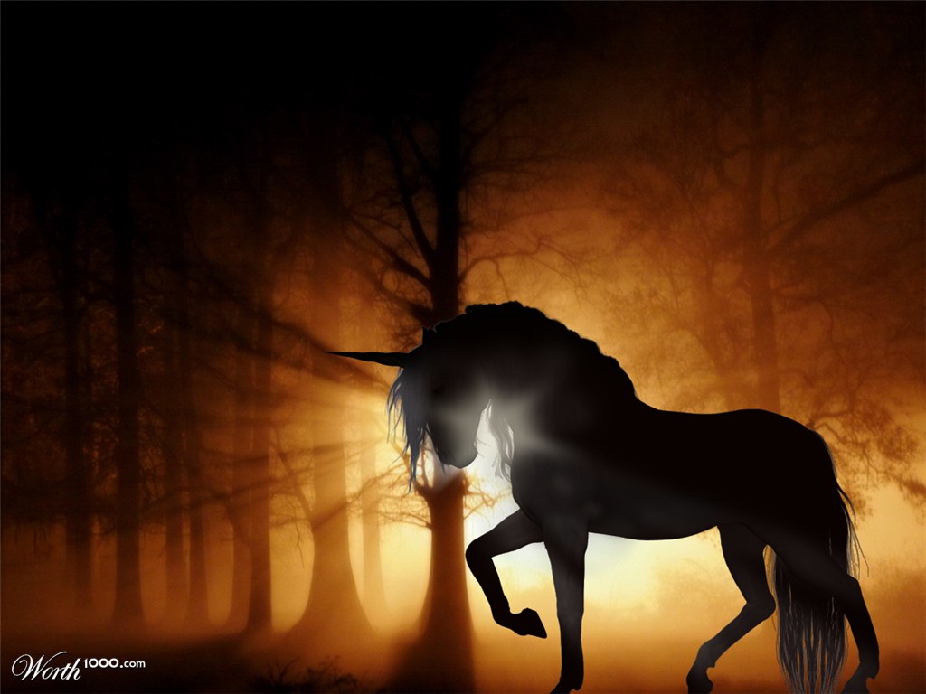 forest silhouette
