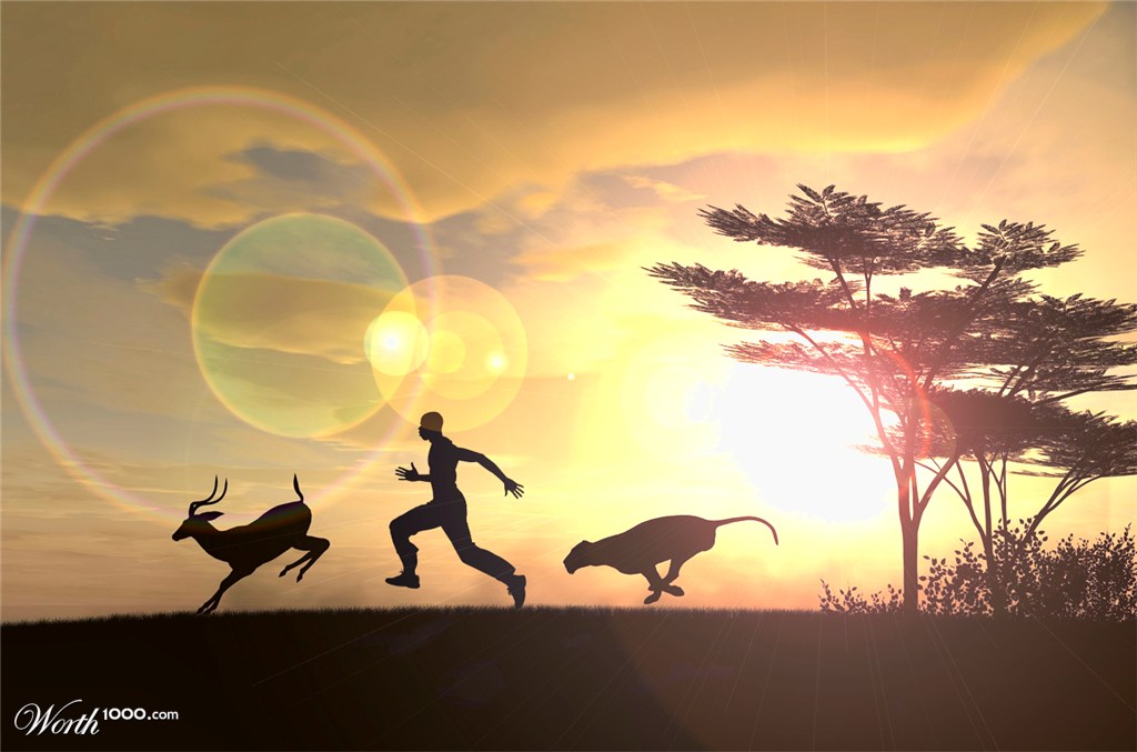 The Race