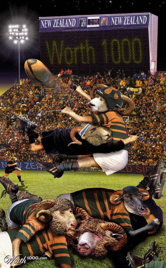 NZ RUGBY