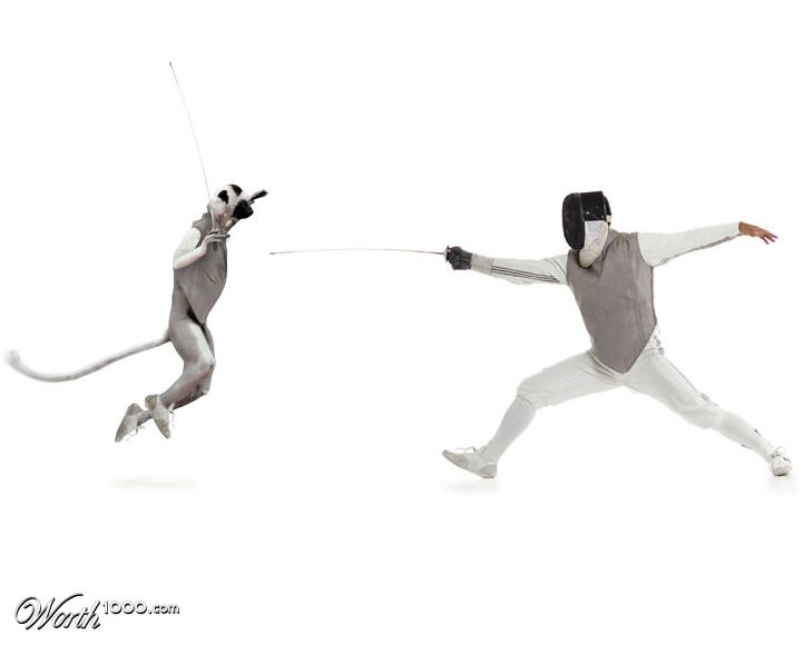 fencing lemur