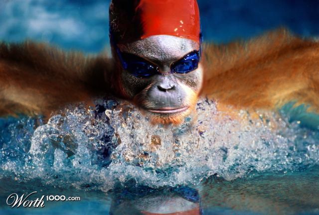 Swim Monkey