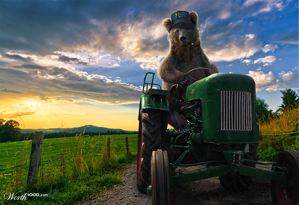 Farmer Ted