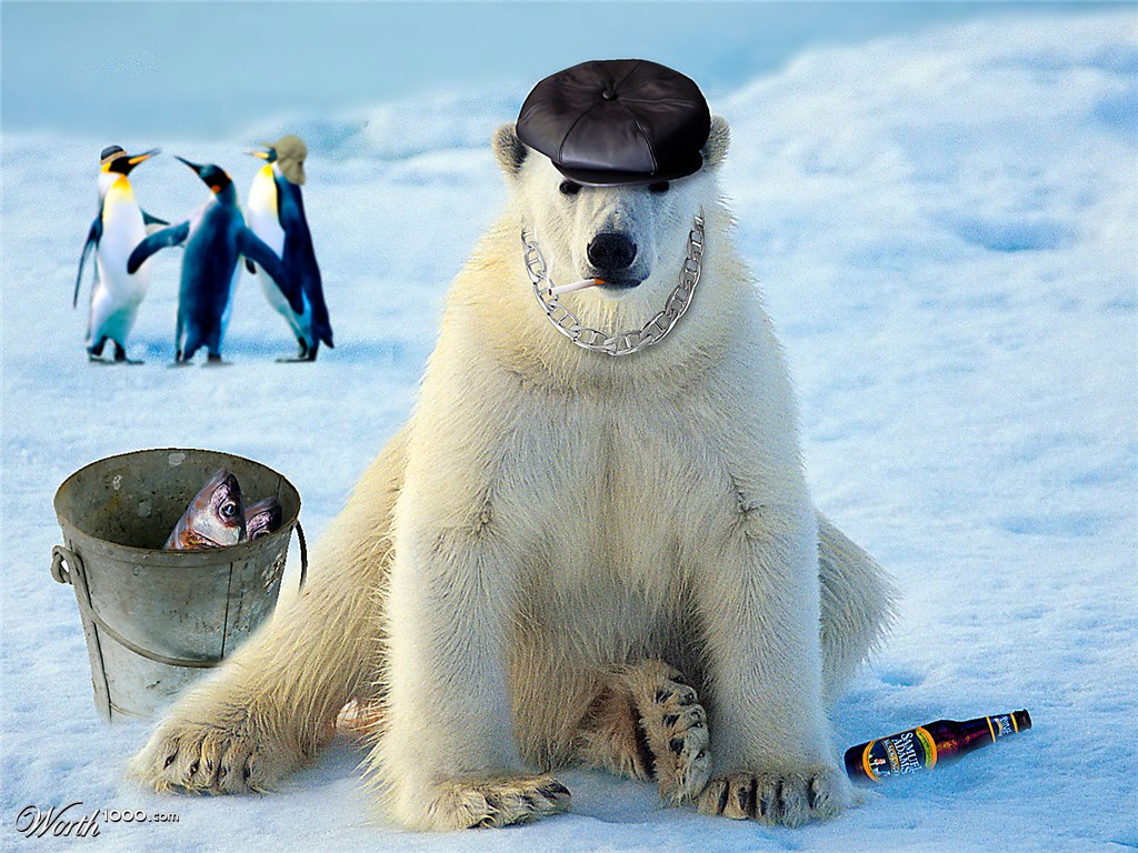 Big Boss Bear