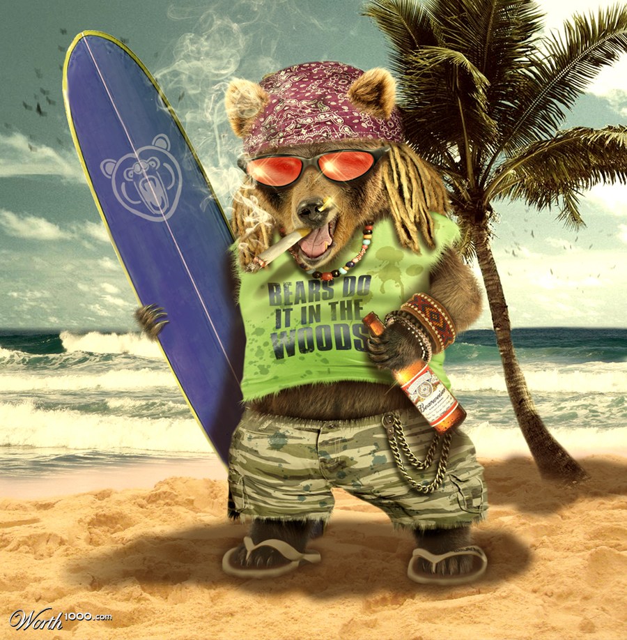 Surf's Up