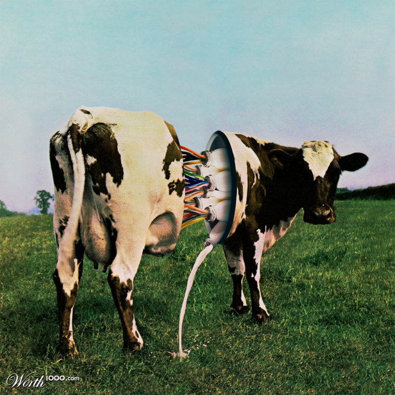 Cow of secrets