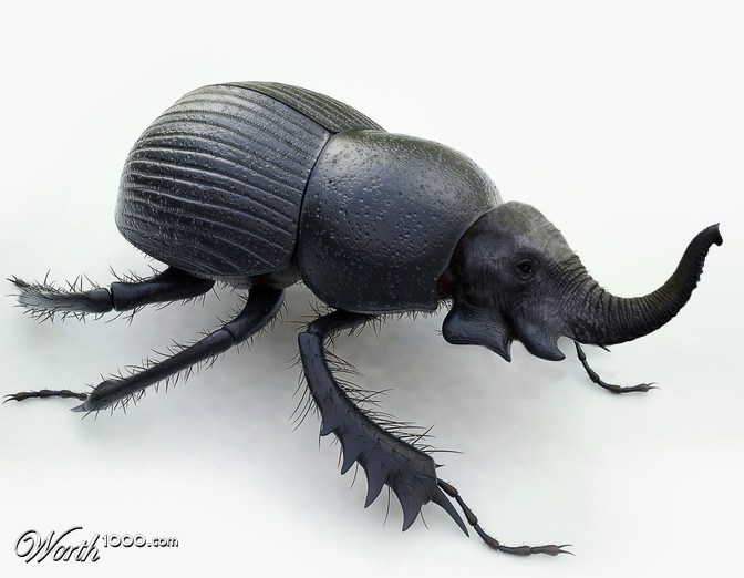 Elebug