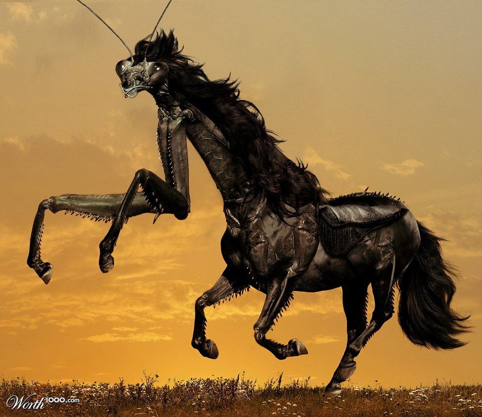 Praying Horse