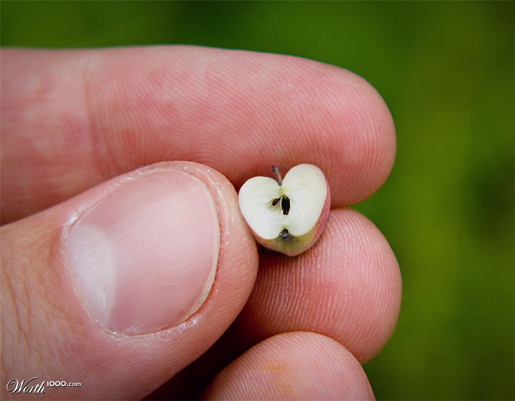 Tiny Apple
