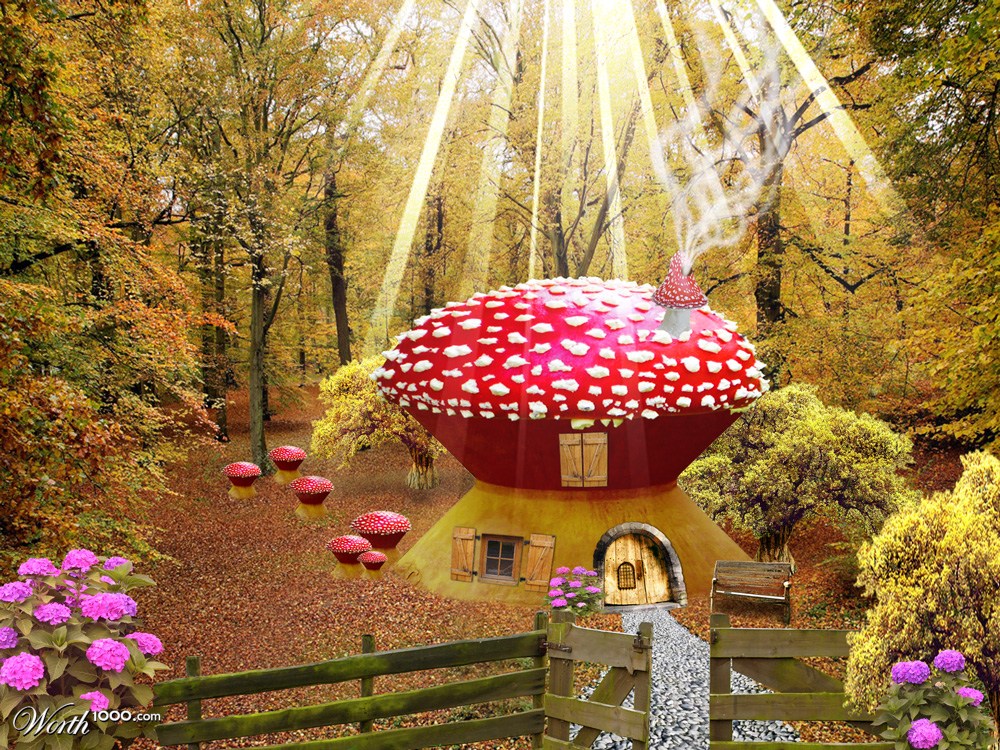 Mushroom house
