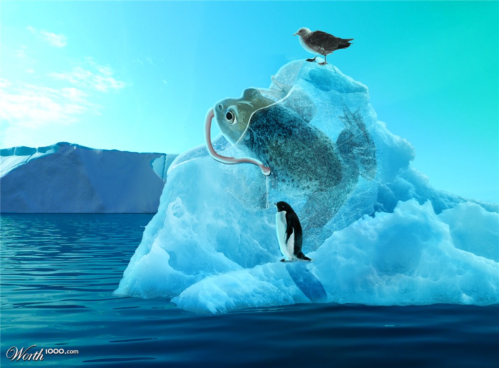 IceFrog