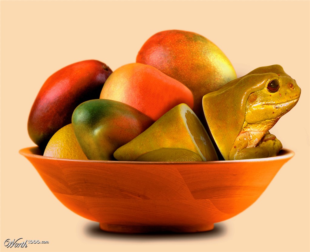 Fruit frog