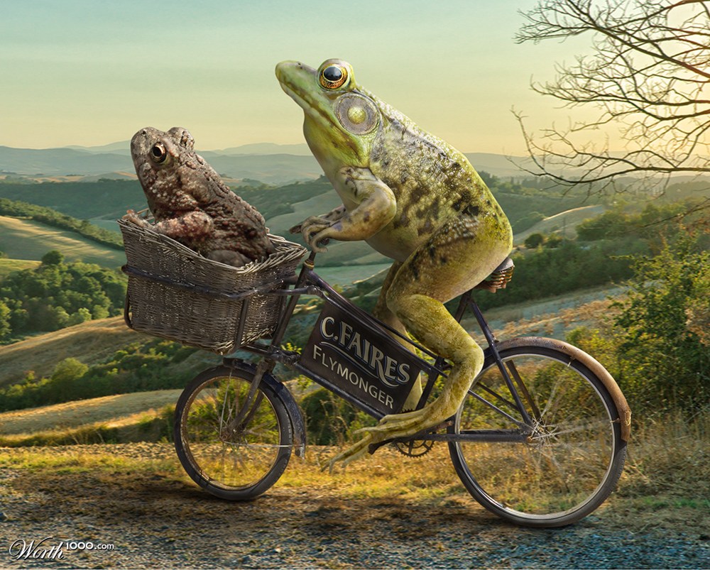Frog Takes Toad for a Ride