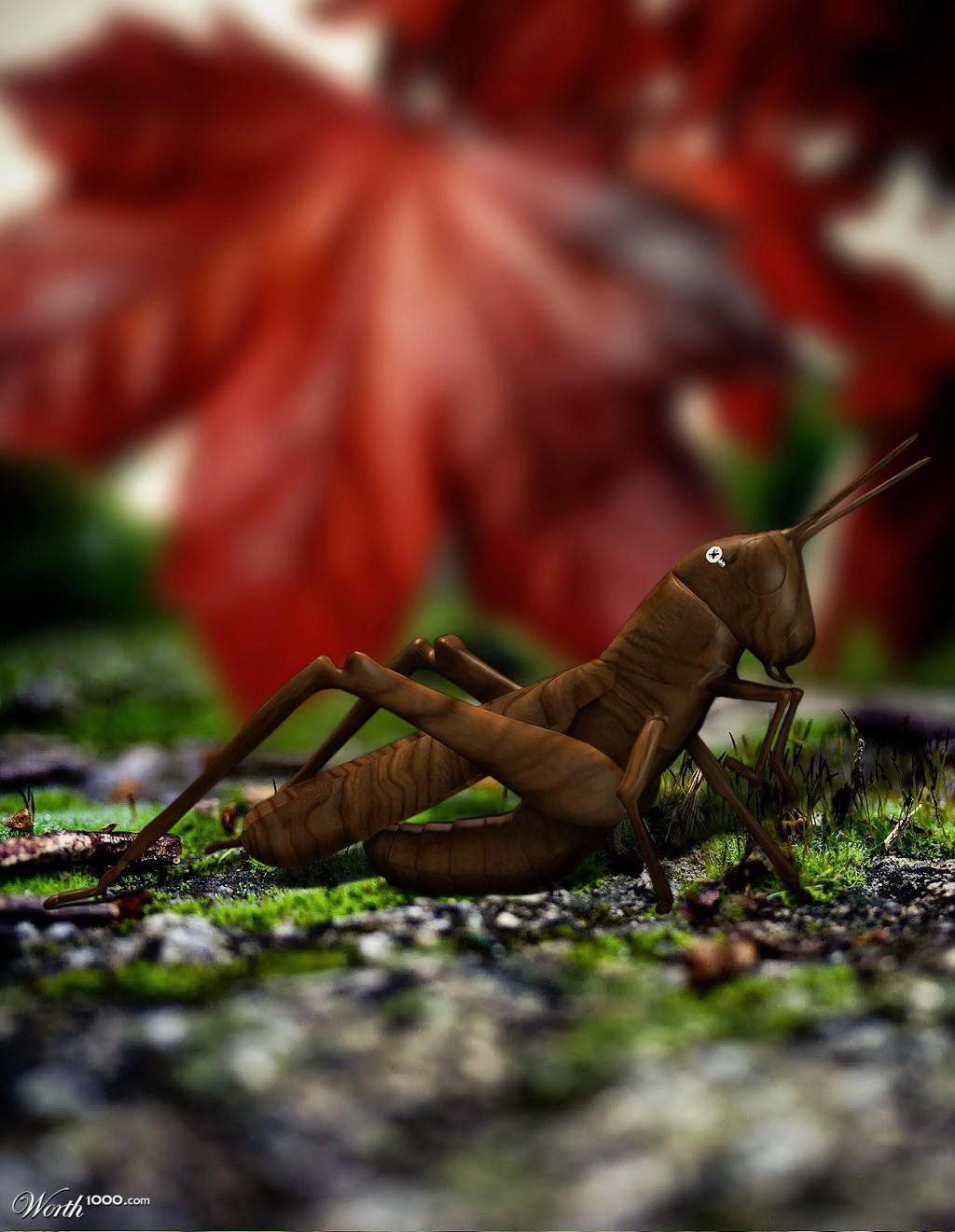 Hopper II