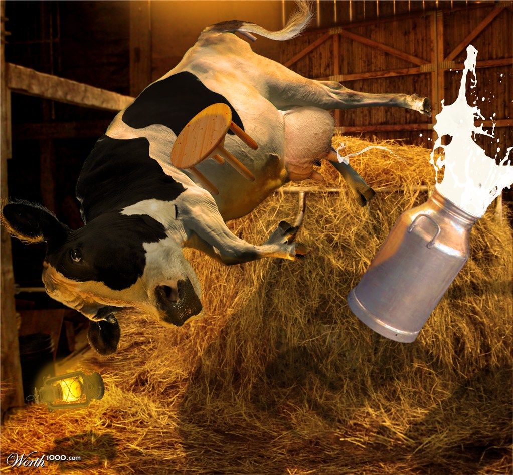 ohh my milk