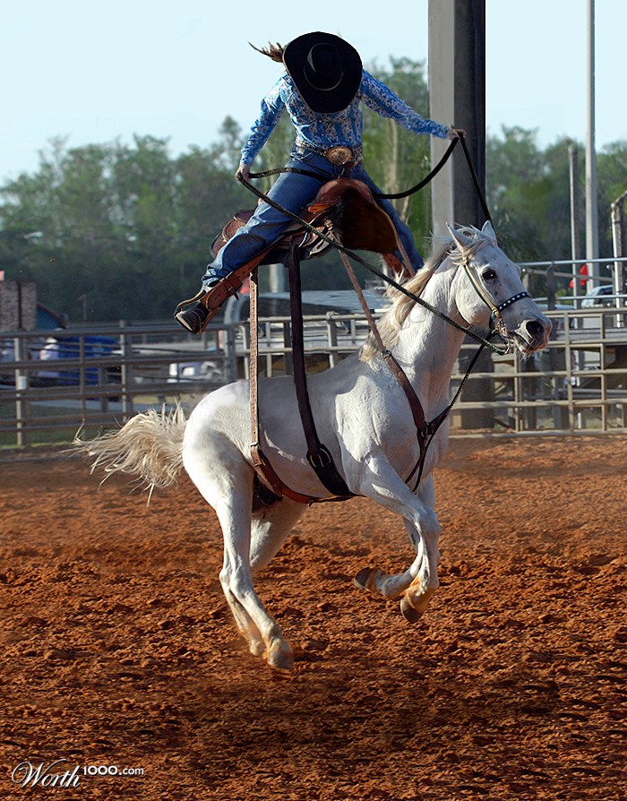 Zero G Gallop
