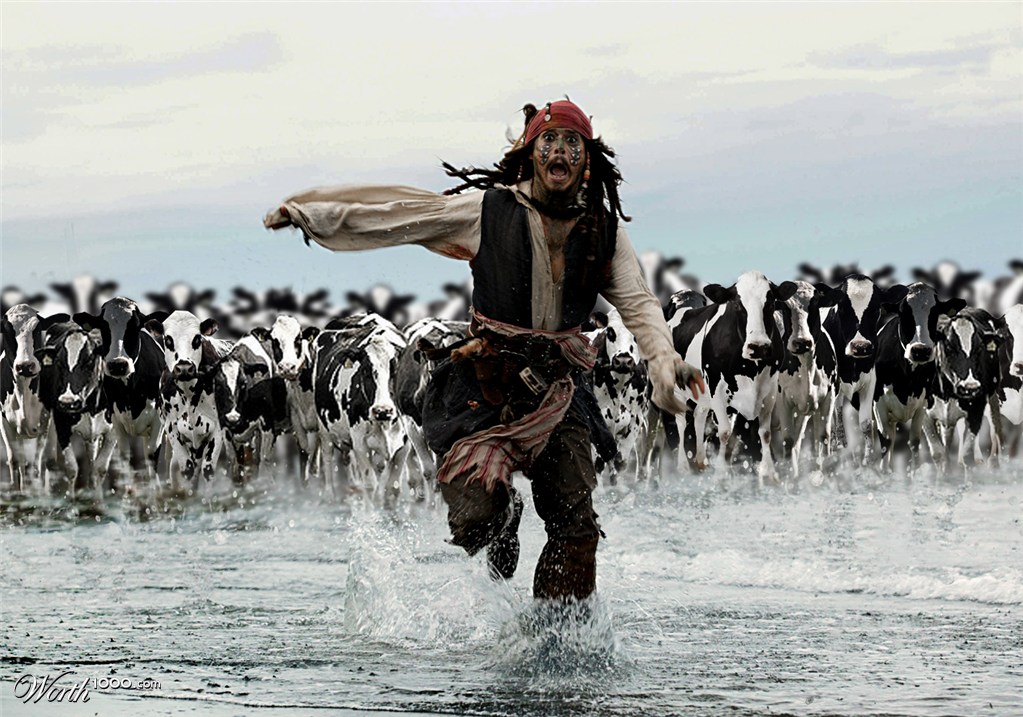Jack Sparrow fleeing a Cows Stampede
