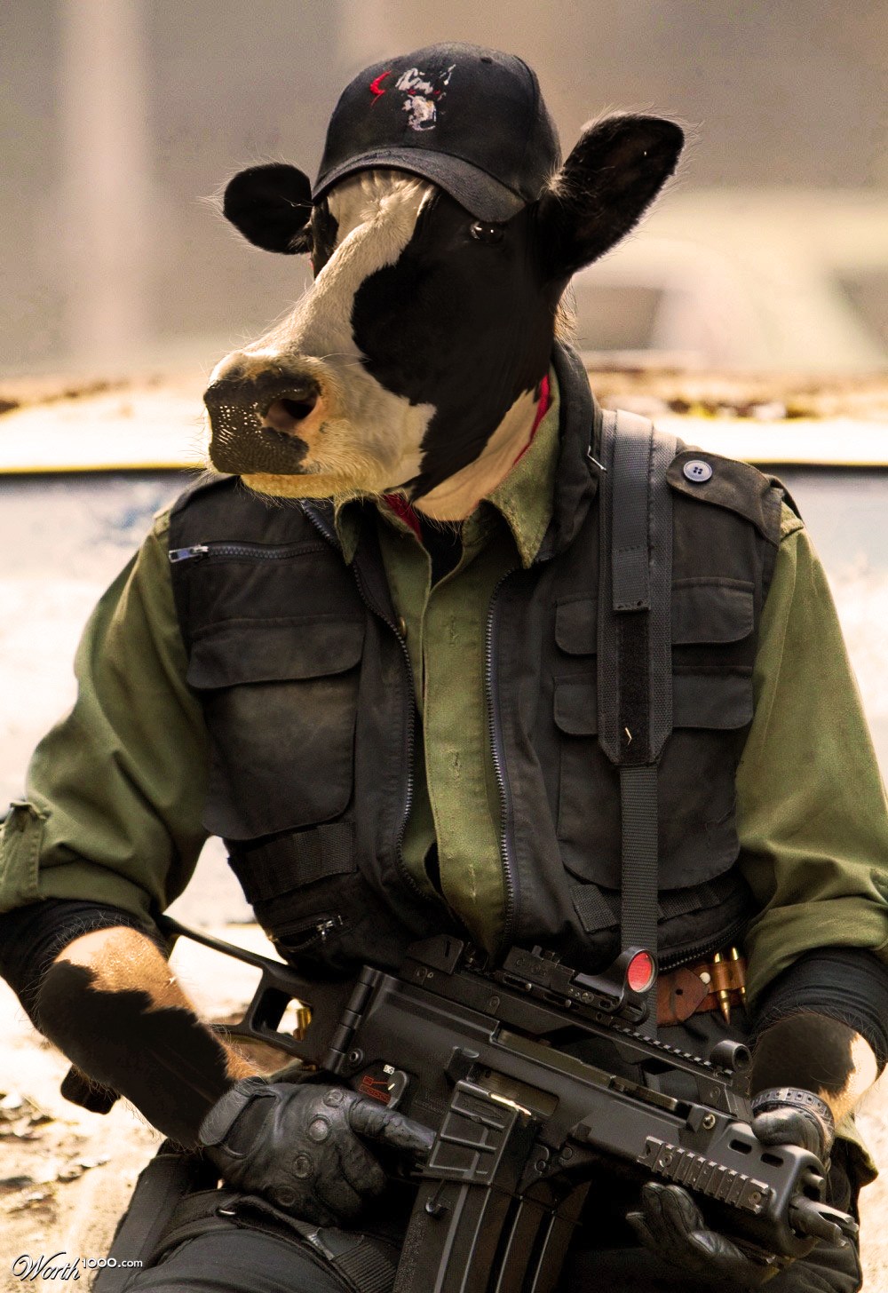 Cow mercenary