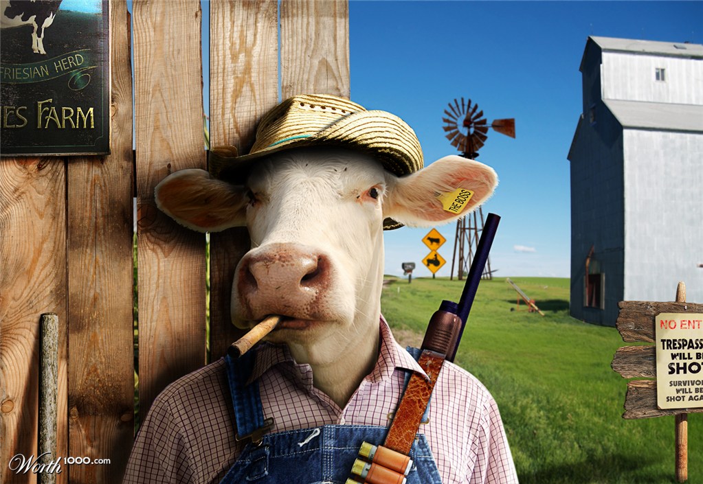 Beef Boss Portrait