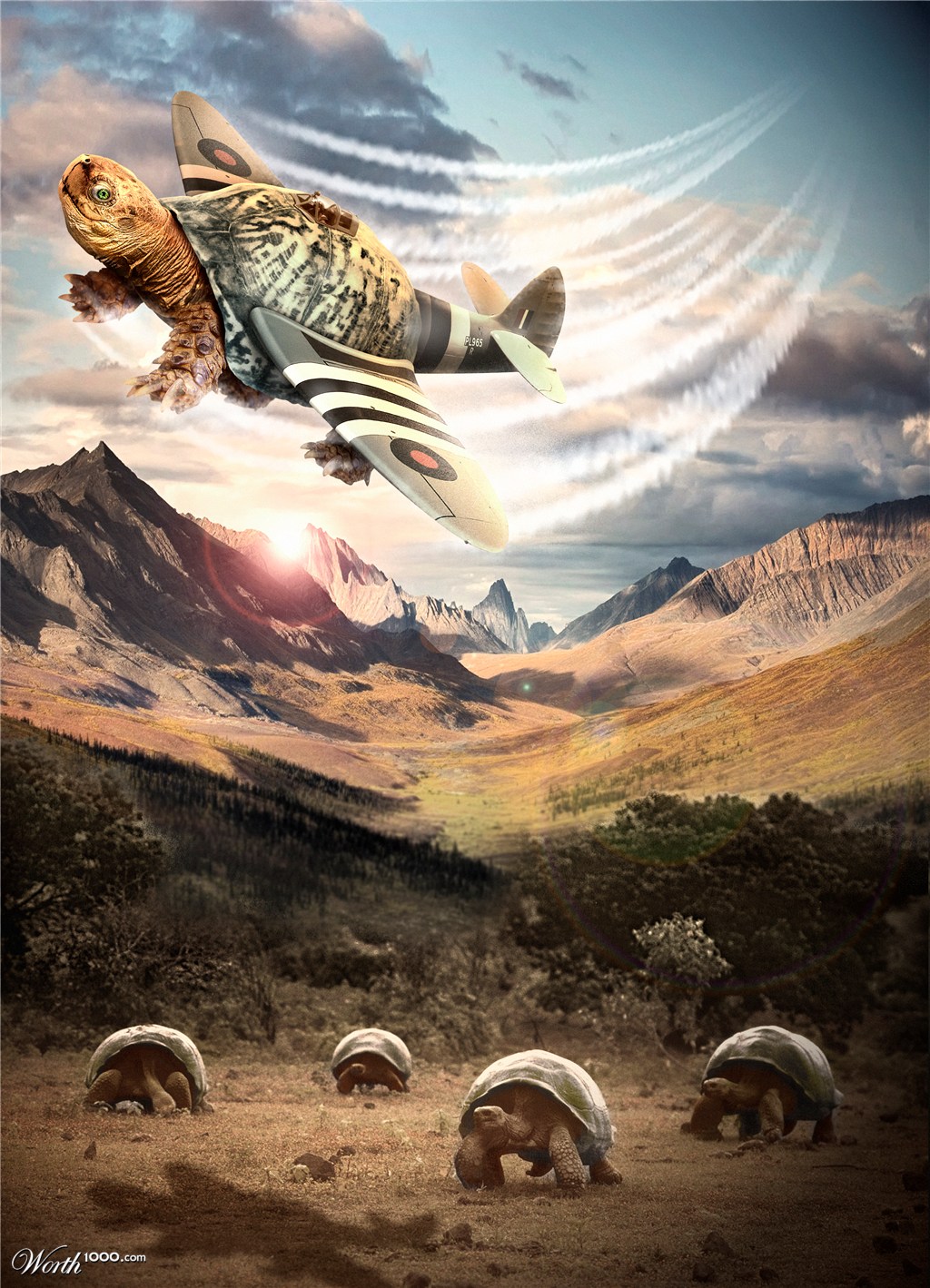 Flying Turtlefire