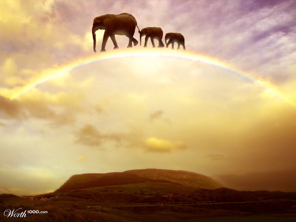 Crossing the Rainbow
