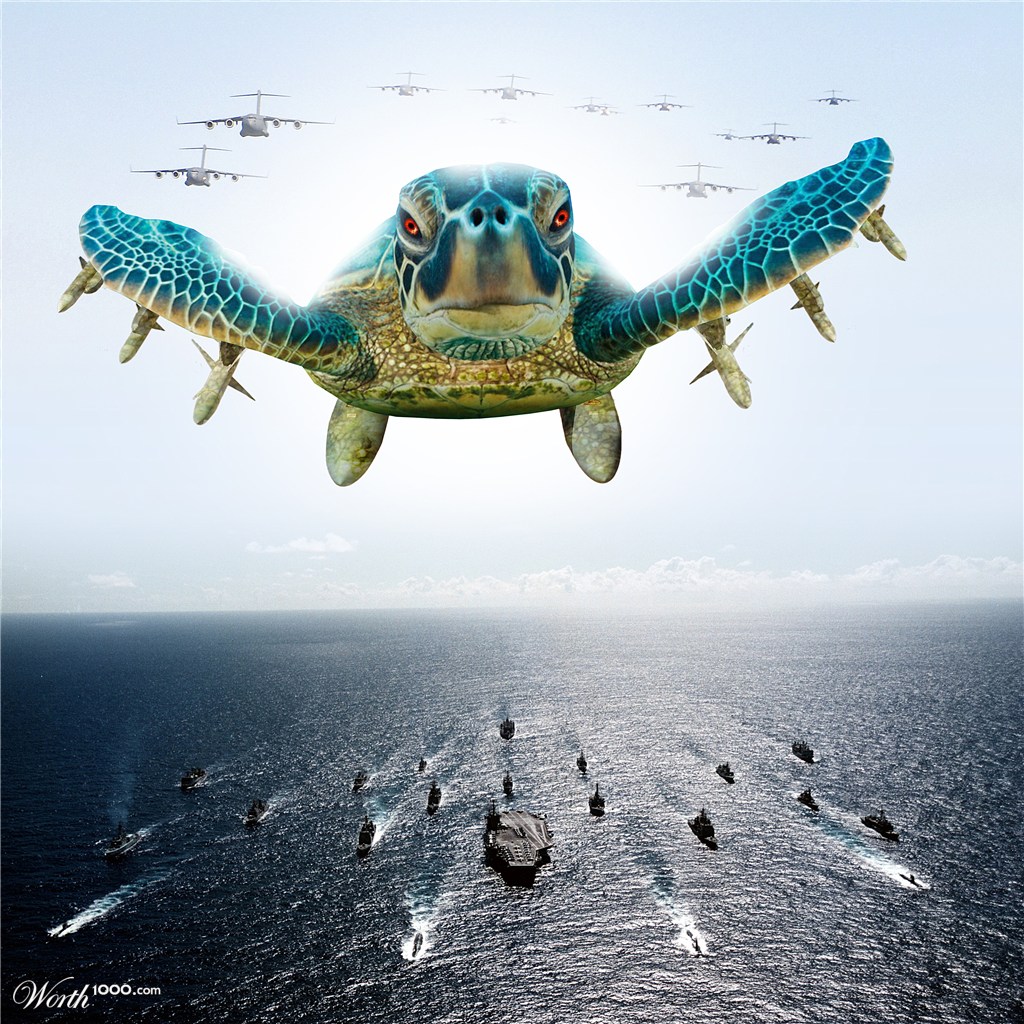 TURTLE-WAR